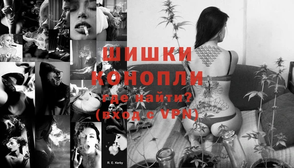 сатива Белоозёрский