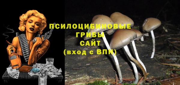 твердый Каменногорск