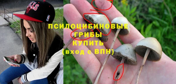 кристаллы Белокуриха