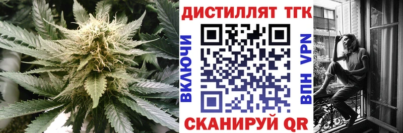 ТГК концентрат  где продают   Короча 