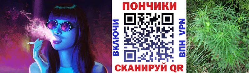 продажа наркотиков Короча Шишки марихуана OG Kush